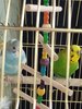 IMG_20241022_104105_737.jpg
