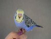 DSC_5574.JPG