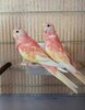 IMG_20241008_201628.jpg