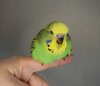 DSC_5677.JPG