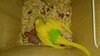 IMG_20241119_095753_553.jpg