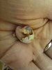 IMG_20241119_235419_767.jpg