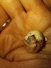 IMG_20241119_235445_410.jpg