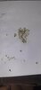 20241126_061547.jpg