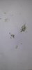 20241127_071609.jpg