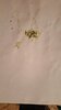 IMG-20241128-WA0000.jpg