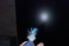 IMG_7407.jpeg