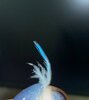 IMG_7412.jpeg