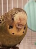 IMG_20241204_224558_399.jpg