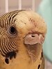 IMG_20241204_224558_015.jpg
