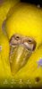 Screenshot_20241213-224630.jpg