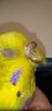 Screenshot_20241213-224641.jpg