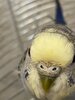 IMG_7609.jpeg