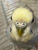 IMG_7608.jpeg