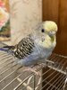 IMG_7612.jpeg