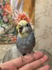 IMG_7613.jpeg