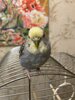IMG_7611.jpeg