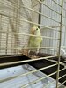 IMG_6730.jpeg