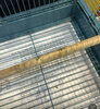 IMG_9783.jpeg