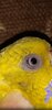 Screenshot_20250107-141230.jpg