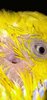 Screenshot_20250108-120417.jpg