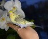 DSC_7075.JPG