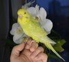 DSC_7059.JPG