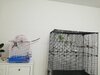 IMG_20250118_081351.jpg