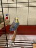 ECDC23A0-5EDA-4068-A026-40DE616F588D.jpeg