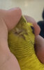 IMG_6553.jpeg
