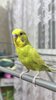 2ED90A8B-D684-4F81-A537-136232C93DD0.jpeg
