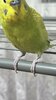 BB507315-C47E-4834-861E-7E017B6B0F6B.jpeg