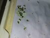 IMG_20250201_094721.jpg