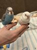 IMG_8259.jpeg