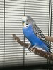 IMG_20250205_181547.jpg