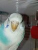 IMG_20250214_185838.jpg