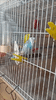 video_2025-02-13_15-21-12.gif