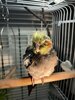 IMG_4232.jpeg