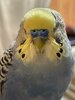 IMG_1087.jpeg
