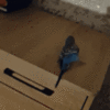 20250221_105911.gif