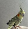 IMG_3530.jpeg