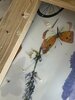 IMG_8875.jpeg