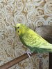 IMG_8879.jpeg
