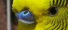 IMG_20250226_204838_391.jpg
