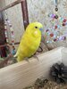 IMG_9159.jpeg