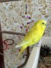 IMG_9158.jpeg