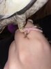 IMG_7321.jpeg