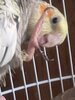 IMG_7278.jpeg