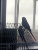 IMG_6973.jpeg