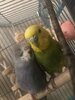 IMG_4802.jpeg